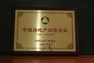 B1、中國房地產(chǎn)誠信企業(yè)2005—2006年